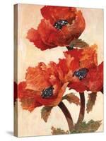 Poppies I-Joyce H^ Kamikura-Stretched Canvas