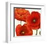 Poppies I-Luca Villa-Framed Art Print