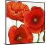 Poppies I-Luca Villa-Mounted Art Print