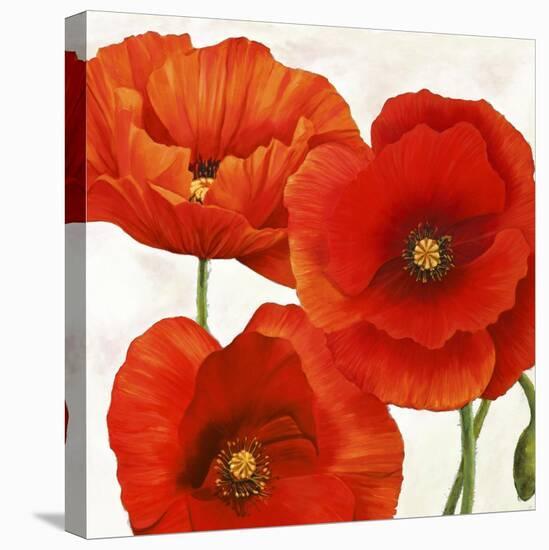 Poppies I-Luca Villa-Stretched Canvas