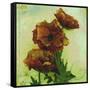 Poppies I-Herb Dickinson-Framed Stretched Canvas