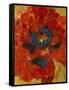 Poppies I-li bo-Framed Stretched Canvas