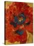 Poppies I-li bo-Stretched Canvas