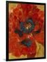 Poppies I-li bo-Framed Giclee Print