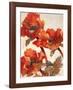 Poppies II-Joyce H^ Kamikura-Framed Giclee Print