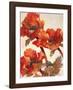 Poppies II-Joyce H^ Kamikura-Framed Giclee Print