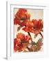 Poppies II-Joyce H^ Kamikura-Framed Giclee Print