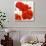 Poppies II-Luca Villa-Art Print displayed on a wall