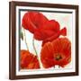 Poppies II-Luca Villa-Framed Art Print