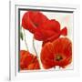 Poppies II-Luca Villa-Framed Art Print