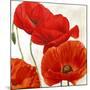 Poppies II-Luca Villa-Mounted Art Print