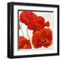 Poppies II-Luca Villa-Framed Art Print