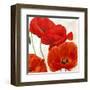 Poppies II-Luca Villa-Framed Art Print