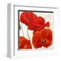 Poppies II-Luca Villa-Framed Art Print