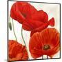 Poppies II-Luca Villa-Mounted Art Print