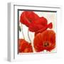 Poppies II-Luca Villa-Framed Art Print