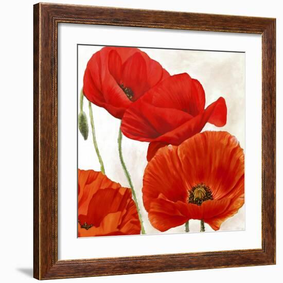 Poppies II-Luca Villa-Framed Art Print