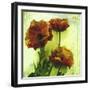 Poppies II-Herb Dickinson-Framed Photographic Print