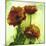 Poppies II-Herb Dickinson-Mounted Photographic Print