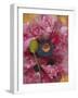 Poppies II-li bo-Framed Giclee Print