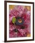 Poppies II-li bo-Framed Giclee Print