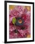 Poppies II-li bo-Framed Giclee Print