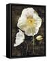 Poppies II-John Seba-Framed Stretched Canvas