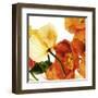 Poppies III-Richard Weinstein-Framed Art Print