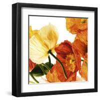 Poppies III-Richard Weinstein-Framed Art Print