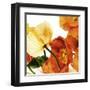 Poppies III-Richard Weinstein-Framed Art Print