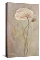 Poppies III-li bo-Stretched Canvas