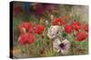 Poppies III-li bo-Stretched Canvas