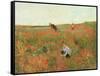 Poppies in a Field, C.1880 (Oil on Panel)-Victor Gabriel Gilbert-Framed Stretched Canvas