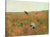 Poppies in a Field, C.1880 (Oil on Panel)-Victor Gabriel Gilbert-Stretched Canvas