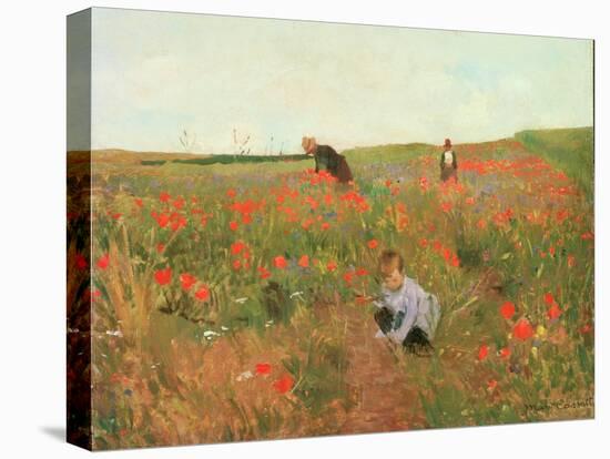 Poppies in a Field, C.1880 (Oil on Panel)-Victor Gabriel Gilbert-Stretched Canvas