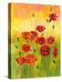 Poppies in a Field-ZPR Int’L-Stretched Canvas