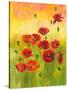 Poppies in a Field-ZPR Int’L-Stretched Canvas