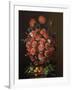 Poppies in a Terracotta Vase, 2000-Amelia Kleiser-Framed Giclee Print