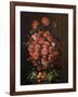 Poppies in a Terracotta Vase, 2000-Amelia Kleiser-Framed Giclee Print