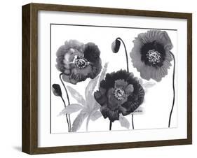 Poppies in Black and white-Neela Pushparaj-Framed Giclee Print