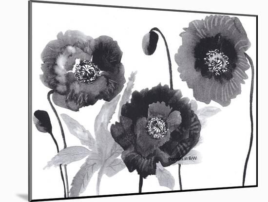 Poppies in Black and white-Neela Pushparaj-Mounted Giclee Print