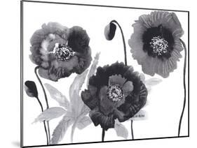 Poppies in Black and white-Neela Pushparaj-Mounted Giclee Print