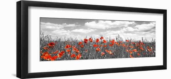 Poppies in corn field, Bavaria, Germany-Frank Krahmer-Framed Giclee Print