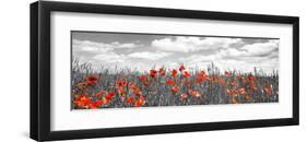 Poppies in corn field, Bavaria, Germany-Frank Krahmer-Framed Giclee Print