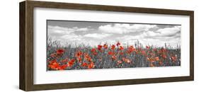 Poppies in corn field, Bavaria, Germany-Frank Krahmer-Framed Giclee Print