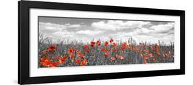 Poppies in corn field, Bavaria, Germany-Frank Krahmer-Framed Giclee Print