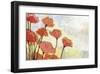 Poppies in Cream-Jennifer Lommers-Framed Giclee Print