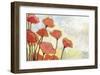 Poppies in Cream-Jennifer Lommers-Framed Giclee Print