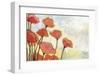 Poppies in Cream-Jennifer Lommers-Framed Giclee Print