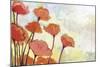 Poppies in Cream-Jennifer Lommers-Mounted Giclee Print